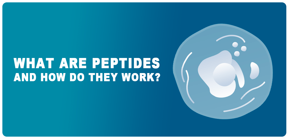 What are Peptides and how do they work