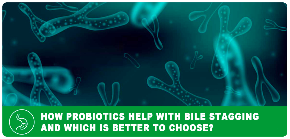 How probiotics help with bile stagging and which is better to choose?