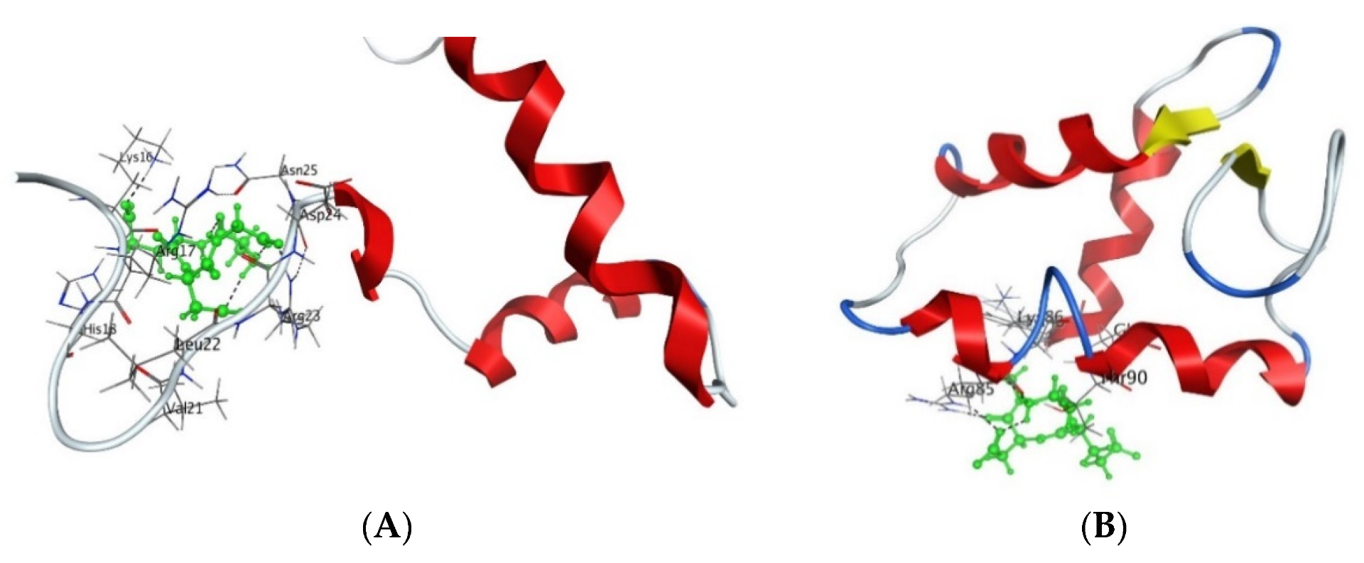 Figure 3. Interaction of AEDG peptide with H4 histone (A) and H1/6 histone (B) in accordance with the data obtained from the forcefield molecular modeling (Molecular Operating Environment, forcefield Amber12EHT). Histone molecules (Protein Data Bank) are depicted as α-helical domains and loops. Oxygen atoms are shown in red, nitrogen atoms in blue, carbon atoms in black, and hydrogen atoms in light gray. The peptide is highlighted in green. The dotted line shows hydrogen bonds. 